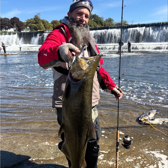 Mark Posh, although I do identify as a Joey (not a baby kangaroo 🦘tho;) 😂 - Picture 2 of 7